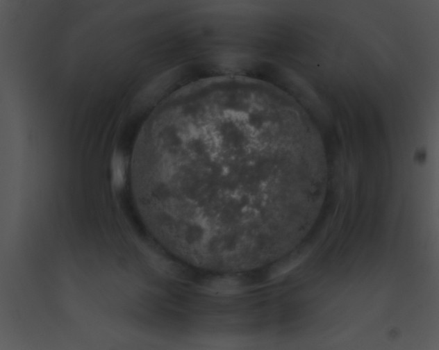 X0000091550075200708311403