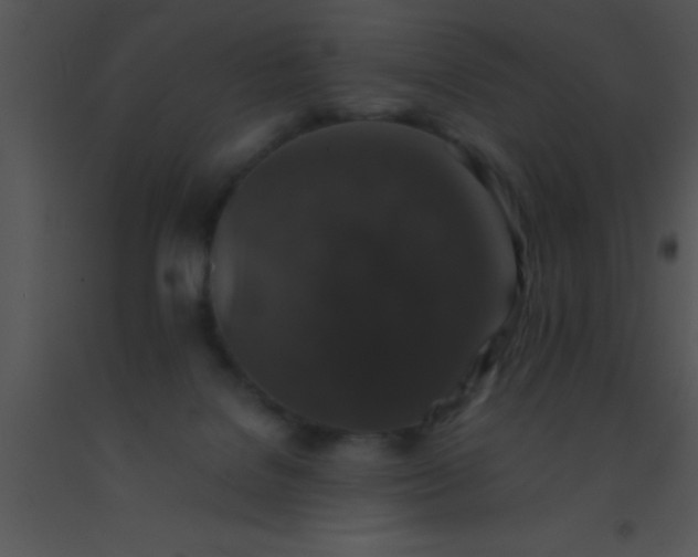 X0000091550076200708311403