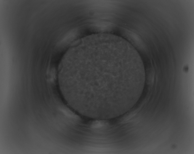 X0000091550077200708311403