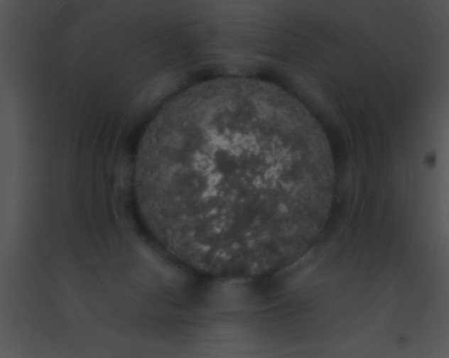 X0000091550078200708311403