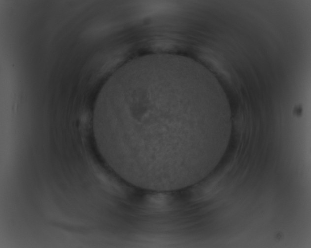 X0000091550079200708311403
