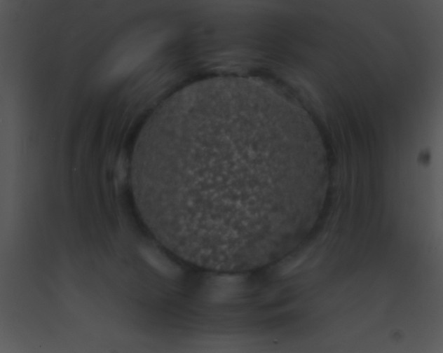 X0000091550081200708311403
