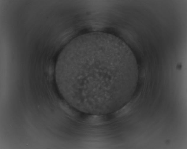 X0000091550082200708311403