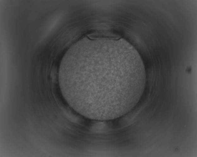 X0000091550083200708311403