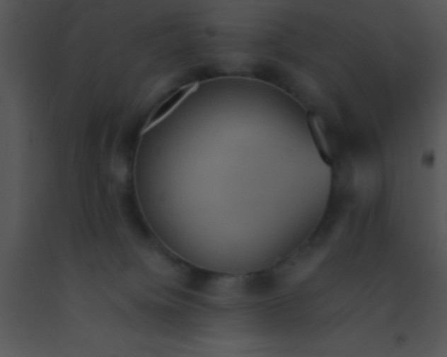 X0000091550084200708311403