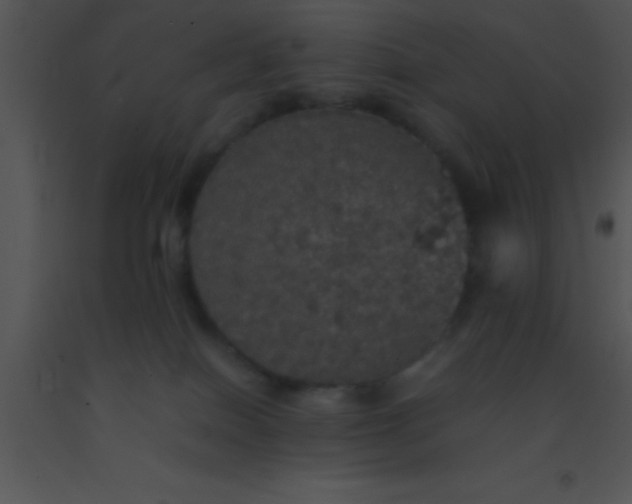X0000091550086200708311403