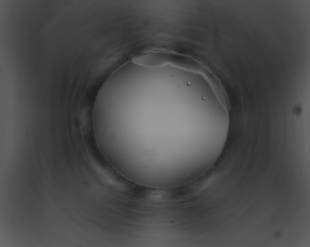 X0000091550088200708311403