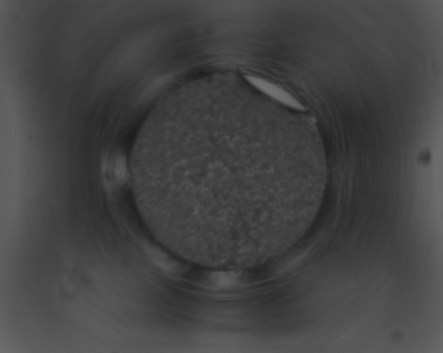 X0000091550089200708311403