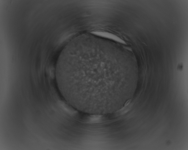 X0000091550090200708311403
