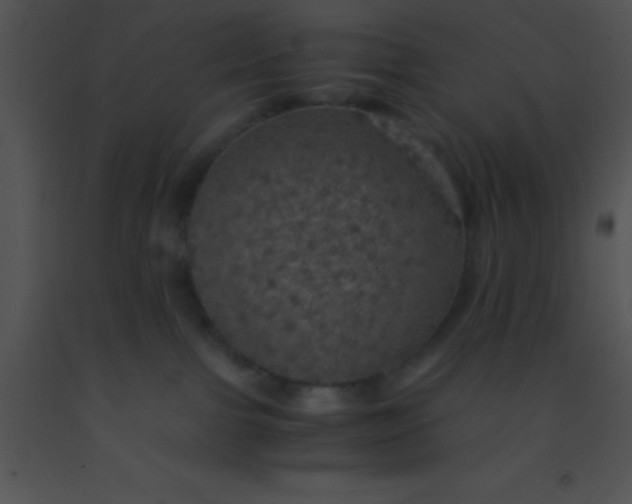 X0000091550091200708311403
