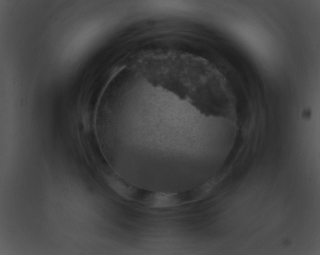 X0000091550093200708311403