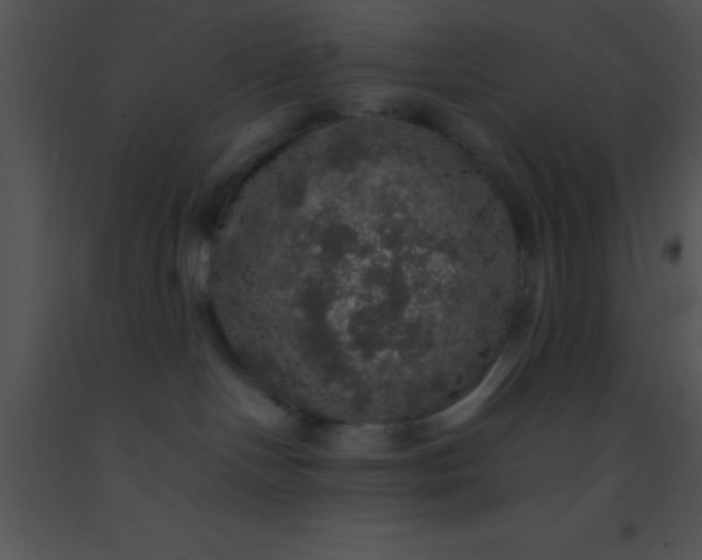X0000091550094200708311403