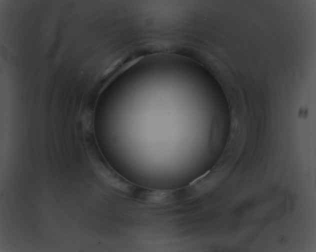 X0000091550096200708311403
