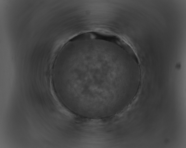 X0000091550097200708311402