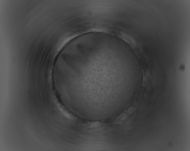 X0000091550098200708311402