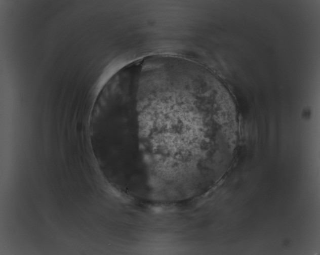 X0000091550099200708311402