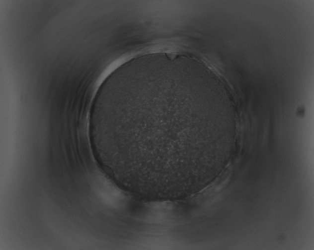 X0000091550100200708311402