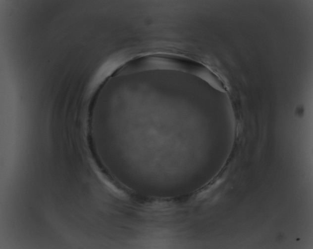 X0000091550101200708311402