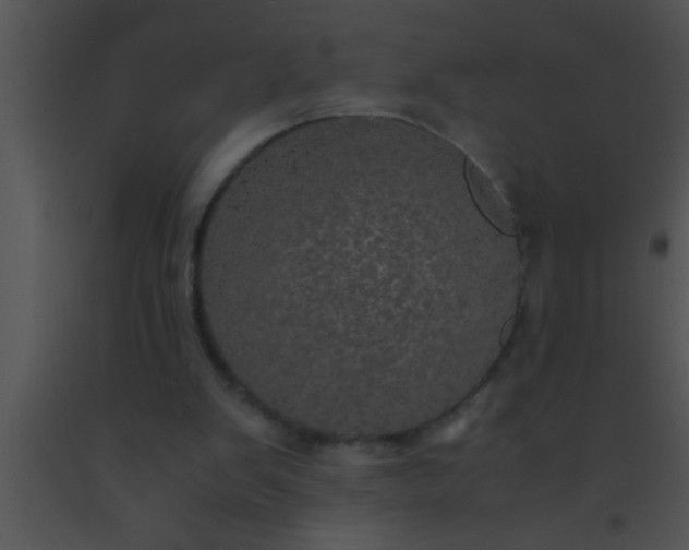 X0000091550103200708311402