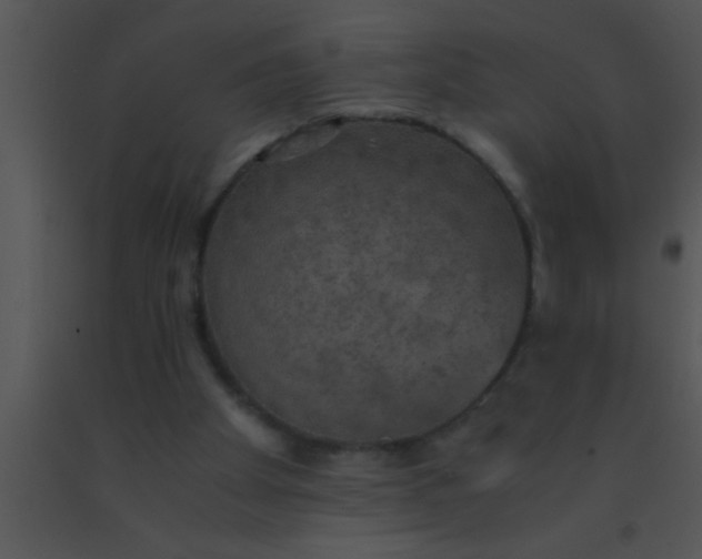 X0000091550105200708311402