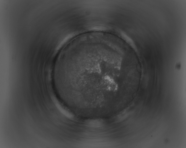 X0000091550106200708311402