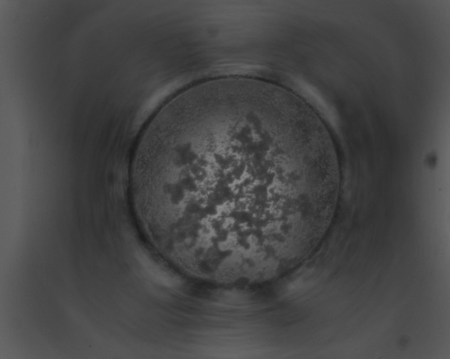 X0000091550107200708311402