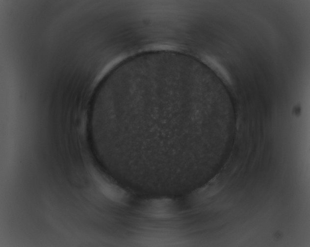 X0000091550108200708311402
