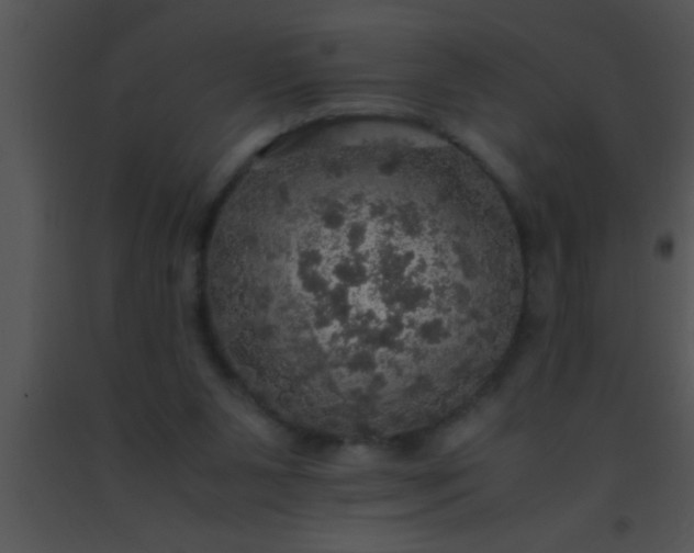 X0000091550111200708311402