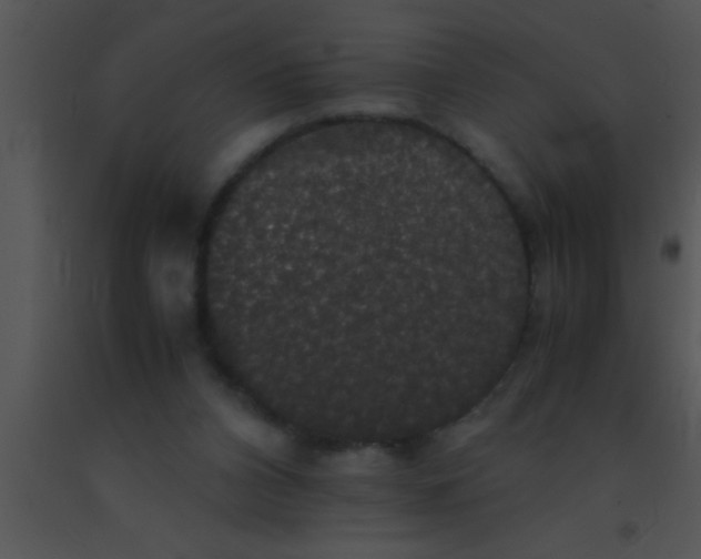 X0000091550112200708311402