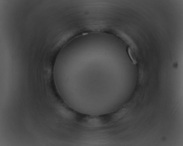 X0000091550113200708311402