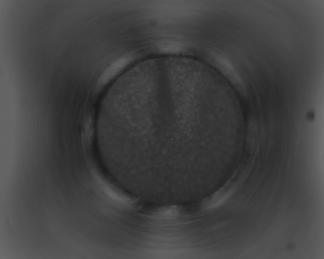 X0000091550116200708311402