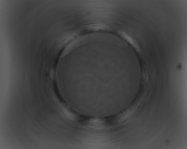 X0000091550117200708311402