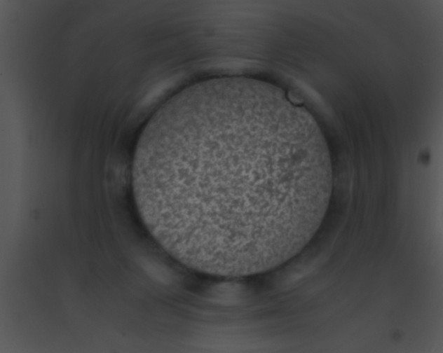 X0000091550119200708311402