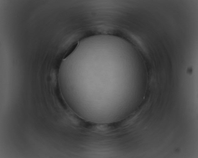 X0000091550121200708311402