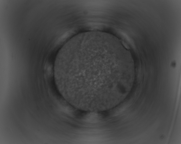 X0000091550123200708311402