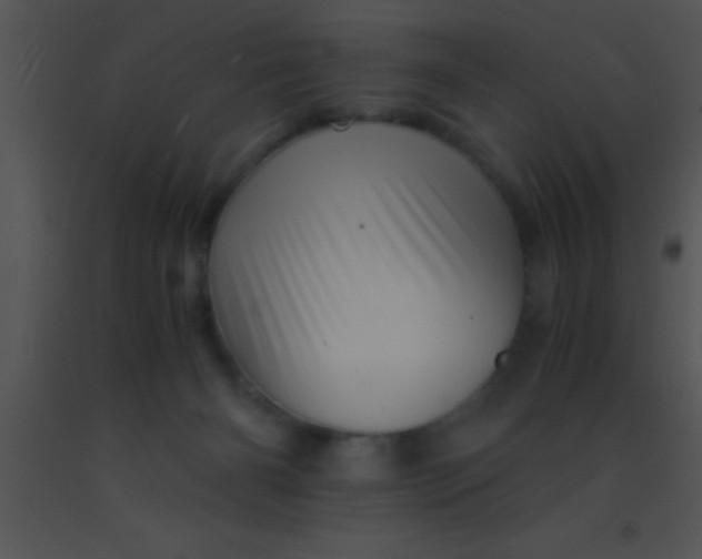 X0000091550126200708311402