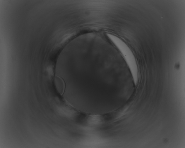X0000091550127200708311402