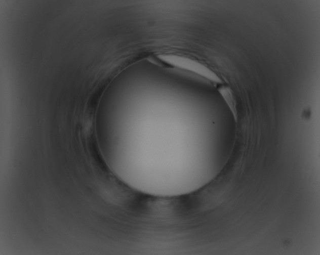 X0000091550129200708311402