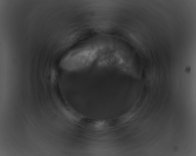 X0000091550130200708311402