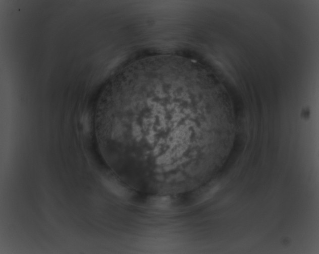 X0000091550131200708311402