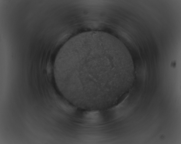 X0000091550132200708311402