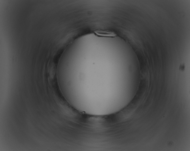 X0000091550133200708311402