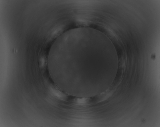 X0000091550134200708311402