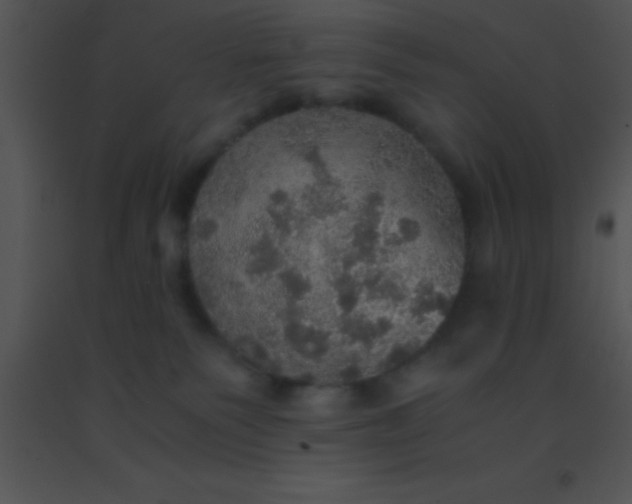 X0000091550135200708311402