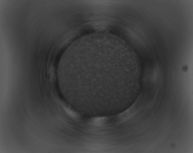 X0000091550136200708311402