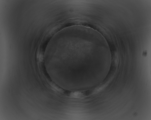 X0000091550137200708311402
