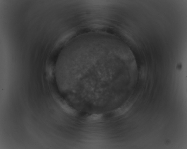 X0000091550138200708311402