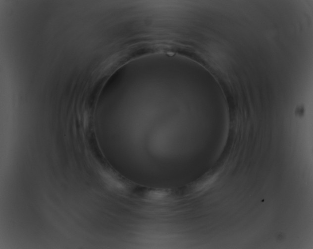 X0000091550139200708311402