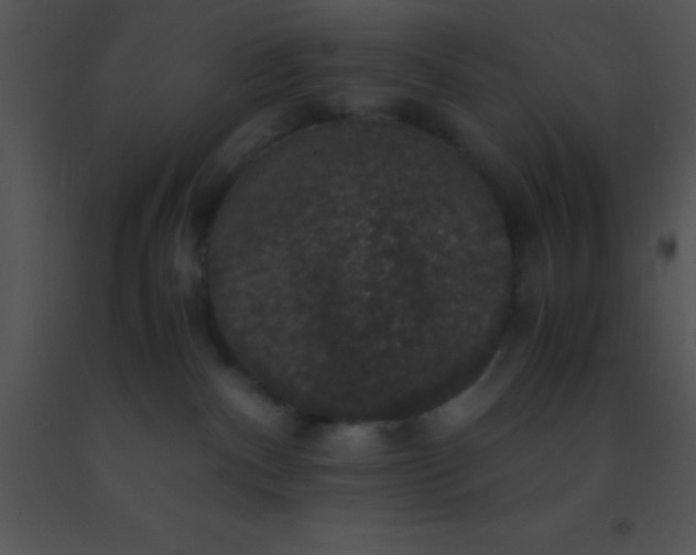 X0000091550140200708311402