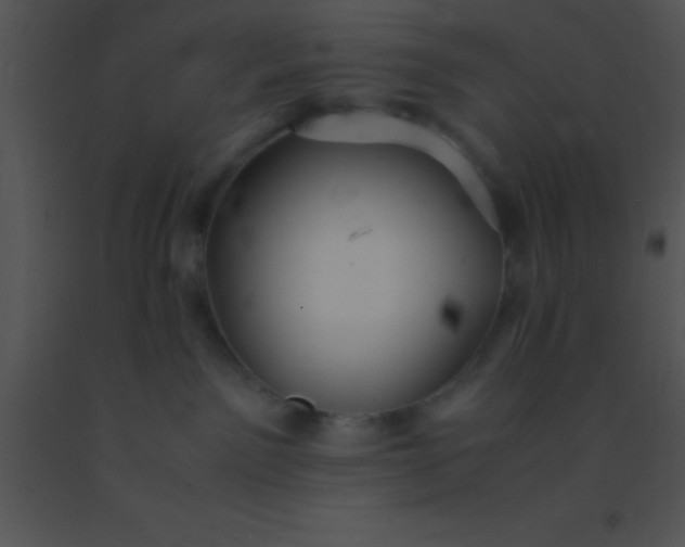 X0000091550141200708311402